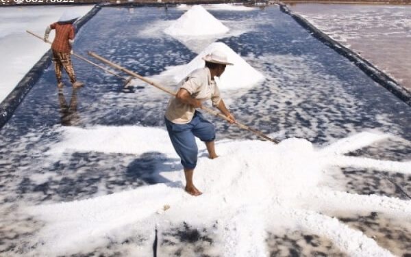 Màng chống thấm HDPE lót ruộng muối có nhiều lợi ích