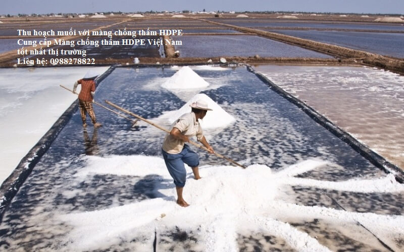 Màng chống thấm HDPE lót ruộng muối có nhiều lợi ích