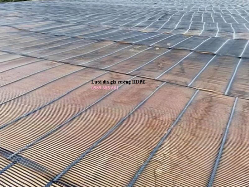 Lưới địa kỹ thuật gia cường HDPE