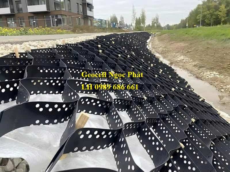 Thi công ô địa kỹ thuật Geocell cao 10cm gia cố mái dốc trồng cỏ