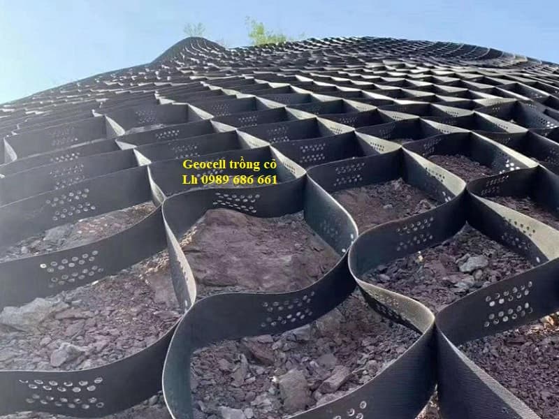Geocell trồng cỏ ổn định mái dốc thân thiện môi trường