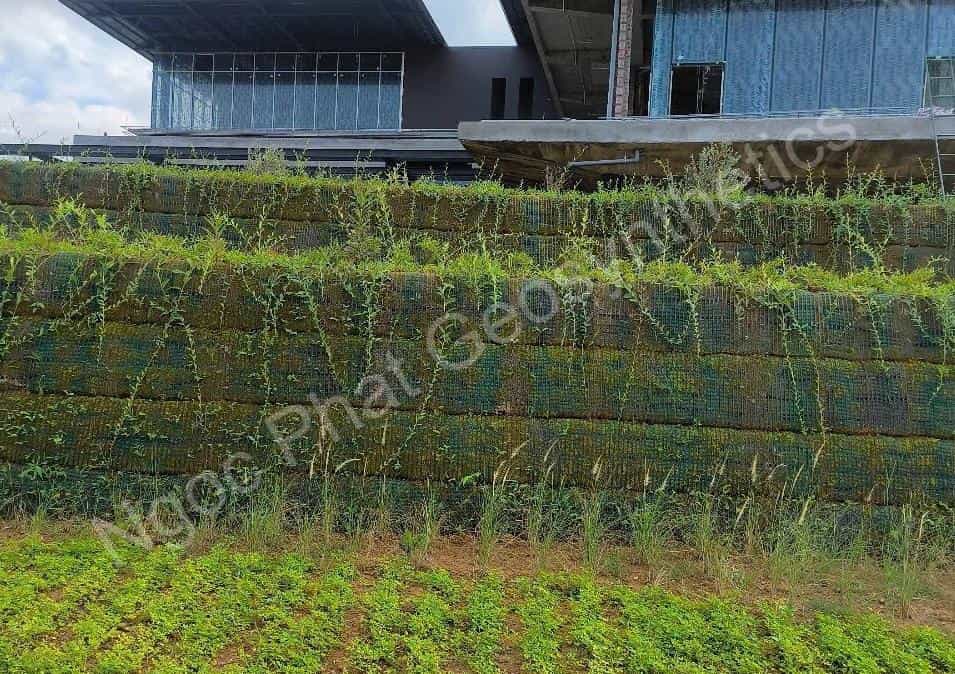 Tường chắn lưới địa gia cường phủ xanh bằng cây cỏ